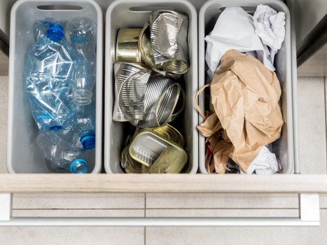 Eco-friendly business waste removal options